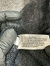 Universal Thread Black Turtleneck Sweater Size XS - photo 8