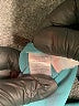 Ann Taylor LOFT 100% Polyester Teal Long Sleeve Blouse Size XS - photo 8