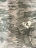 Women's Best Camo Gray Athletic Shorts Size S (estimated) - photo 3