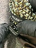 Ellen Tracy Tweed Gold Blazer Size 8 (petite) - photo 7