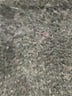 J.Crew Brown Tan Poncho Size FREE - photo 8