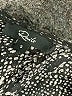 Rails Paisley Gray Casual Dress Size S - photo 7