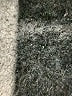 Lularoe 100% Acrylic Gray Cardigan Size XL - photo 7