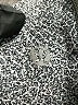 Lululemon Athletica Gray Active Pants Size 8 - photo 7