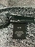 Lane Bryant Tweed Gray Pullover Sweater Size 14 - 16 Plus - photo 8