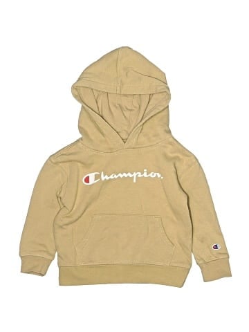 Champion Pullover Hoodie (view 1)