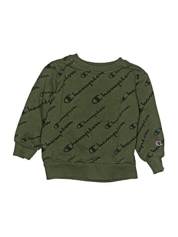 Champion Sweatshirt (view 1)