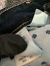 Lucky Brand Blue Jeans Size 4 - photo 5