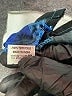 Assorted Brands Tropical Blue Short Sleeve Blouse Size XL - photo 7