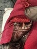 Long Tall Sally Burgundy Active Pants Size 12 - photo 8