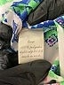 Francesca's 100% Polyester Print Green Shorts Size L - photo 4