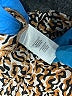 T Tahari 100% Polyester Animal Print Brown Long Sleeve Blouse Size M - photo 8