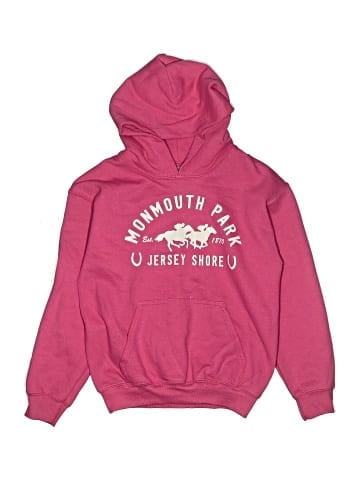 Gildan Pullover Hoodie (view 1)