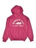 Gildan Pink Pullover Hoodie Size S (youth) - photo 1