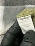 Blu Pepper Green Pullover Sweater Size S - photo 8