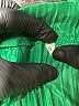Unbranded Green Long Sleeve Blouse Size S - photo 7
