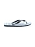 Havaianas Silver White Flip Flops Size 5 (X-wide) - photo 1