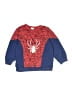 Assorted Brands Print Red Sweatshirt Size 110 cm / US 5-6 - photo 1