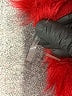 Dolce Cabo Solid Red Coat Size Lg - XL - photo 7