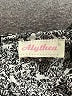 Alythea 100% Polyester Gray Long Sleeve Blouse Size S - photo 7