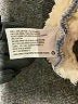 Universal Thread Blue Denim Jacket Size XS - photo 7