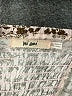 Mi ami Paisley Brown Short Sleeve Blouse Size XS - photo 7