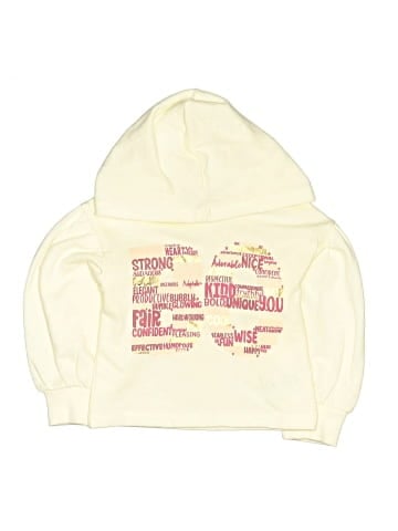 Flapdoodles Pullover Hoodie (view 1)