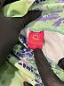 Liquido Print Green Active Pants Size S - photo 4