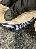 Assorted Brands Ivory Casual Pants Size 30 waist - photo 9