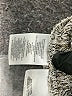 Jones New York Collection Tweed Gray Blazer Size L - photo 7