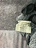 Pink Lotus Gray Casual Dress Size M - photo 8