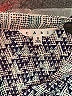CAbi Houndstooth Gray Short Sleeve Blouse Size S - photo 7