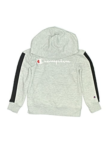 Champion Sweatshirt (view 1)