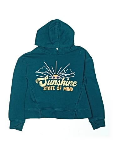 Bcg Pullover Hoodie (view 1)