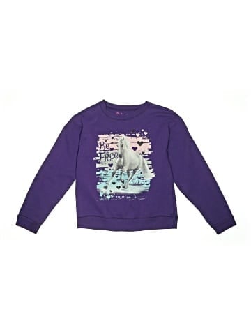 Hanes Sweatshirt (view 1)
