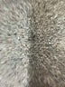 Free People White Pullover Sweater Size XS - photo 8