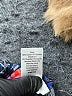 Boxercraft Black Active Pants Size XL - photo 5