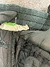 Assorted Brands Black Track Pants Size L - photo 7