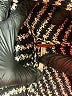 Free People Black Cardigan Size XS - photo 4