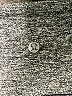 Lululemon Athletica Gray Active Pants Size 8 - photo 7