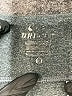 Nike Gray Active Pants Size L - photo 7