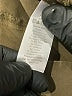Everlane Solid Brown Green Khakis Size 4 - photo 4