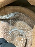Unbranded Brown Tan Sweatshirt Size 2X - photo 4