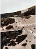 Acne Studios Camo Brown Casual Skirt Size EU 34 / US 4 - photo 5
