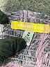 Urban Outfitters Paisley Gray Purple Skort Size M - photo 3