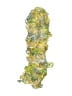 Unbranded Yellow Green Scarf One size - photo 2