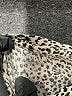 Athleta 100% Cotton Animal Print Tan Short Sleeve Turtleneck Size XXS - photo 7