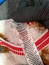 Rudolph the Red Nose Reindeer 100% Polyester Hearts Ivory Pullover Sweater 12-18 MO / 18 MO - photo 4