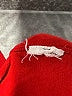 DKNY Stars Red Pullover Sweater Size M - photo 8