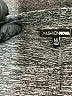 Fashion Nova Tweed Gray Active Pants Size M - photo 7